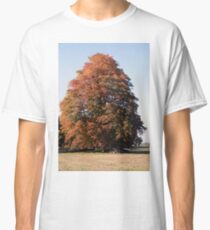 Autumn Tree Classic T-Shirt