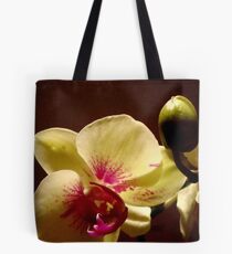 ORCHID - phalaenopsis II ^ Tote Bag