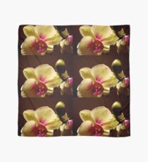 ORCHID - phalaenopsis II ^ Scarf
