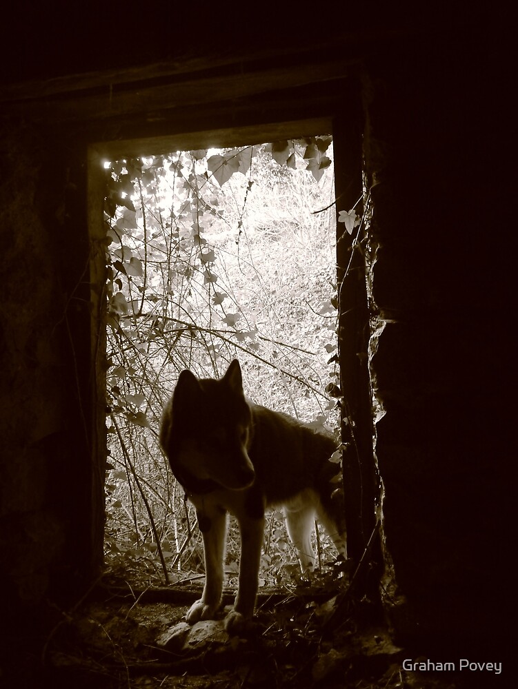"Wolf at the Door" by Graham Povey Redbubble