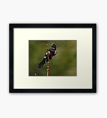 UNIQUE Framed Print