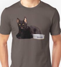 Salem | Steel Blue Unisex T-Shirt