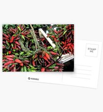 Piquant Puglia Postcards