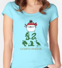 One Style To Rule Them All v.2 Women's Fitted Scoop T-Shirt