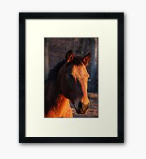 Golden Hour Framed Print