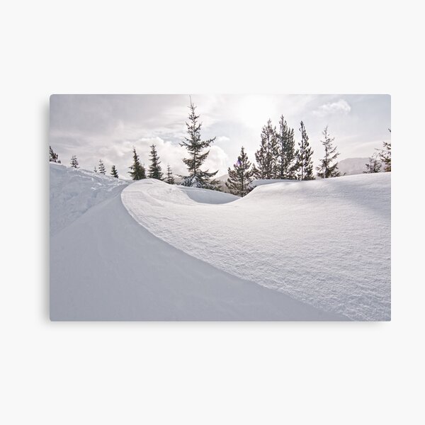 Snow Drift Canvas Print