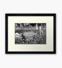 contemplation Framed Print