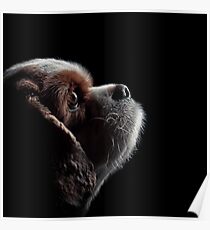 Pet Profile Poster
