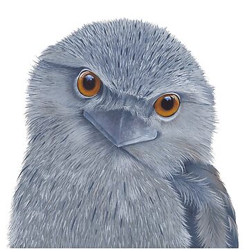 Artwork thumbnail, Tawny Frogmouth by grimmhewitt67