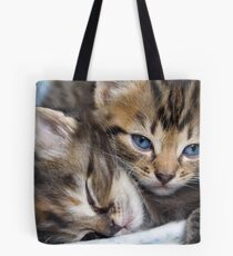 Snuggle Buddies Tote Bag