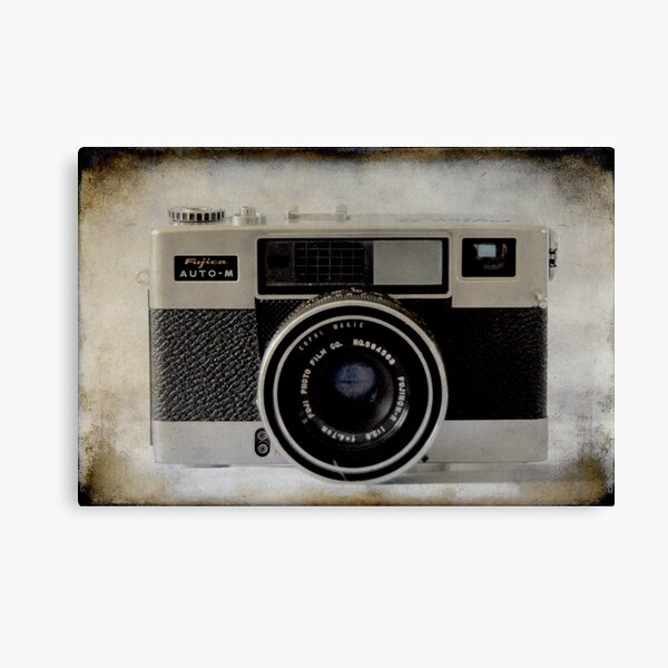 Fujica Canvas Print