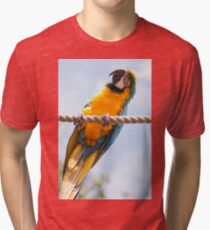 Blink Of Colour Tri-blend T-Shirt
