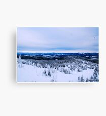 Big White Canvas Print