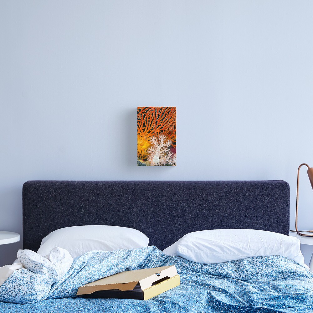 White on red Canvas Print