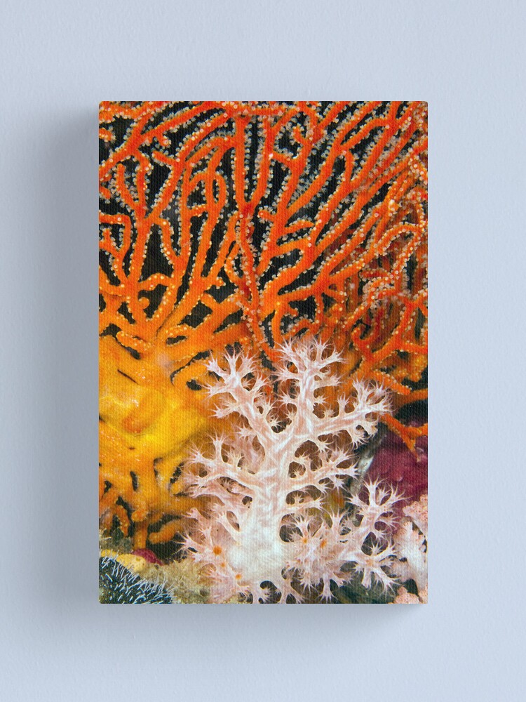Alternate view of White on red Canvas Print