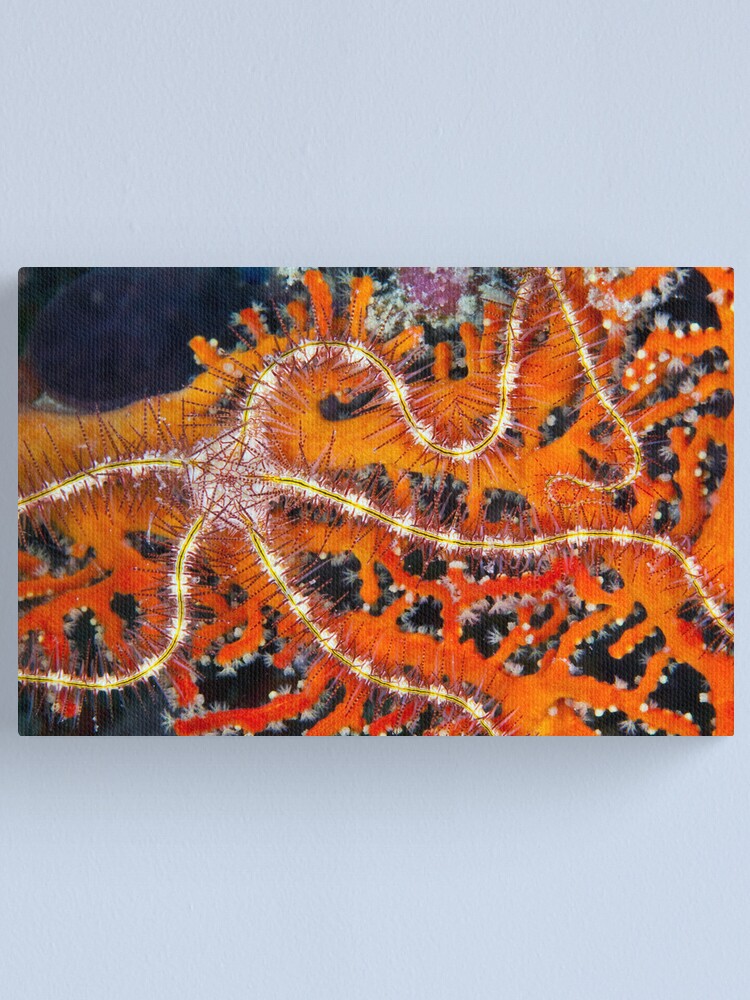 Alternate view of Spike Canvas Print