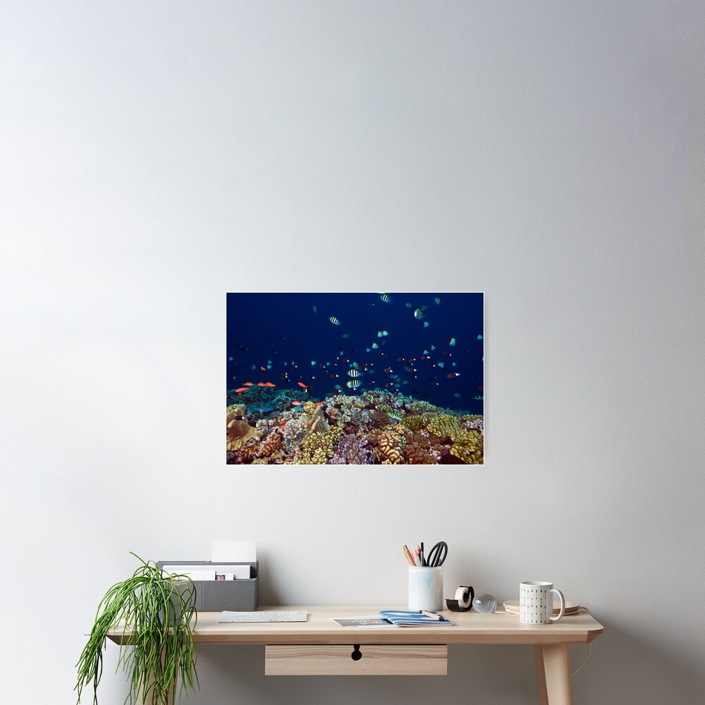 Reef edge Poster