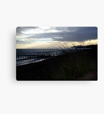 Seagrass Canvas Print
