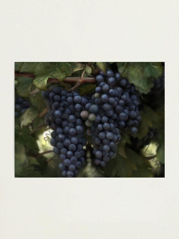 Alternate view of The Harvest Photographic Print