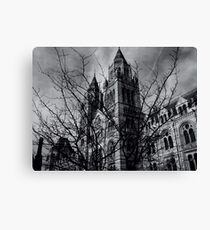 Natural History Museum Canvas Print