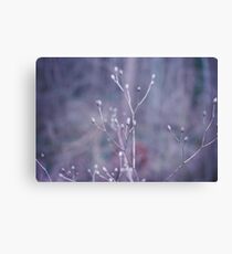 soft Canvas Print