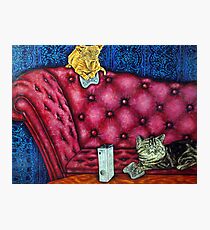 Cats playing X Box Photographic Print