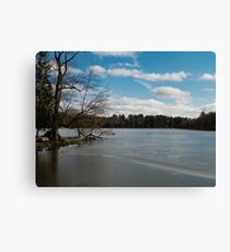 Firmly Rooted Canvas Print