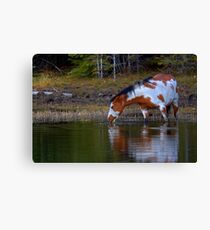 Watching Paint Canvas Print