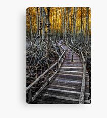 Mangroves Canvas Print