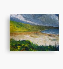 Coastal road to Barleycove Canvas Print