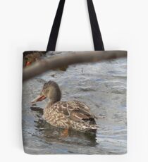 Northern Shoveler - Female Tote Bag