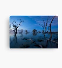 Menindee Canvas Print