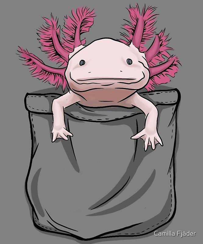 axolotl pop figure