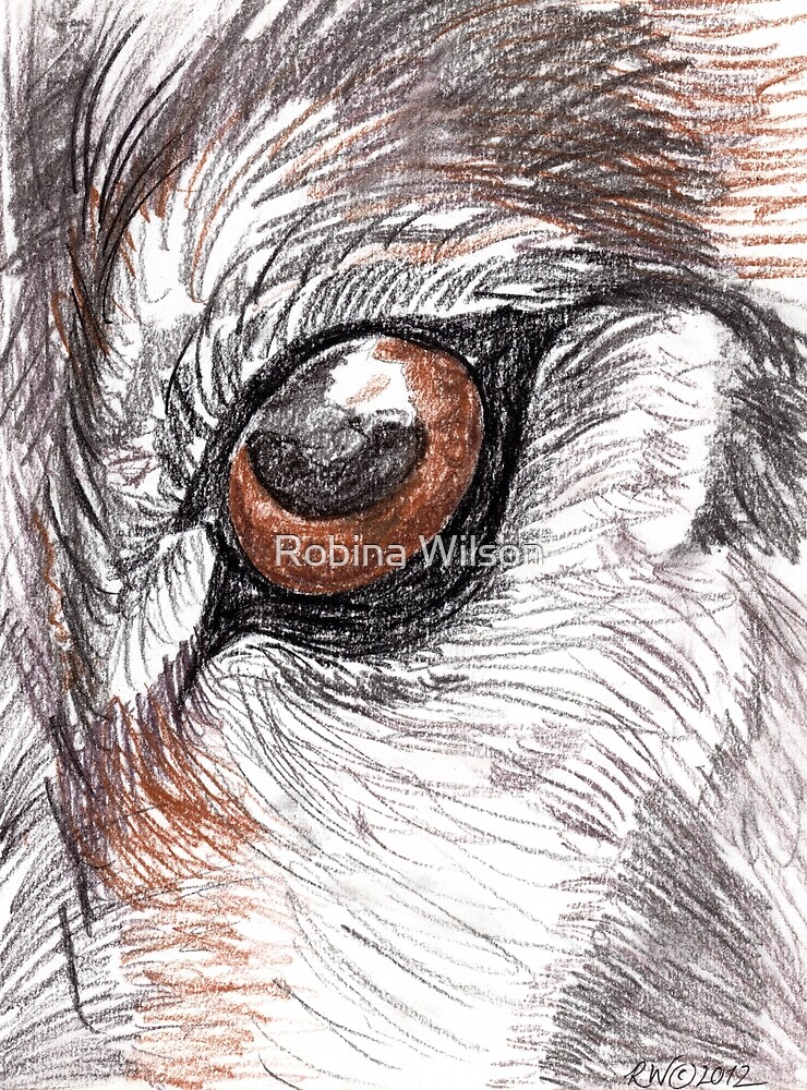 Wolf Eye By Robina Wilson Redbubble