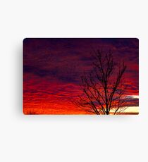 Fire in the Sky Canvas Print