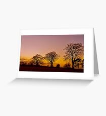 Bare Trees Greeting Card