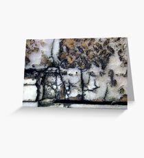 a view beyond the garden wall Greeting Card