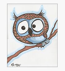 Blue Owl Photographic Print