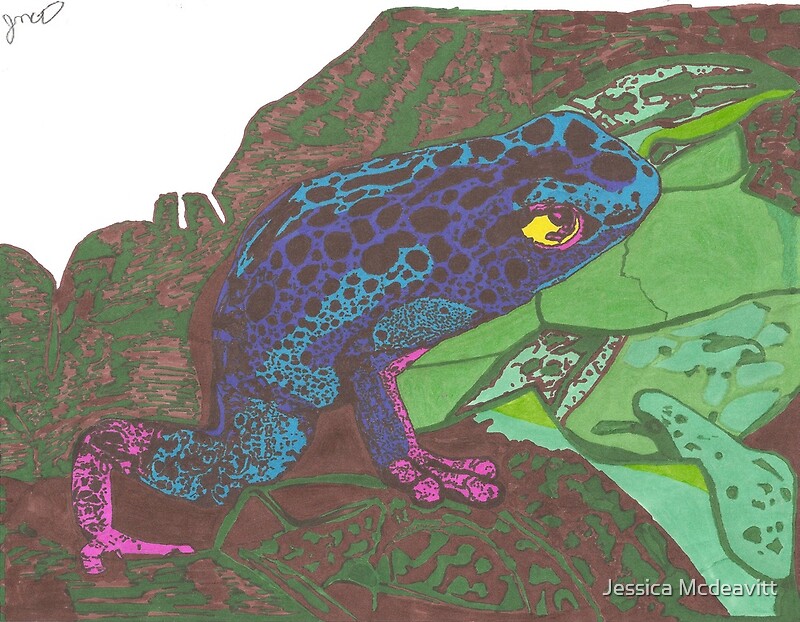 "Poison dart frog ink drawing" by jessican | Redbubble