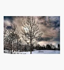 Lonely cold tree Photographic Print