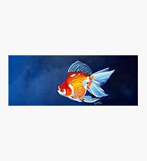 Ryukin Goldfish Photographic Print