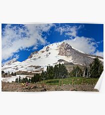 Summer on Mt. Hood Poster