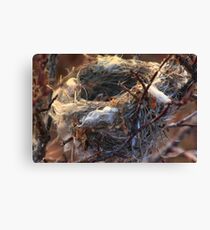 Empty Nest Canvas Print