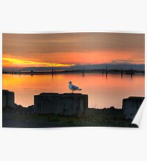 Watching the Sun Go Down Poster