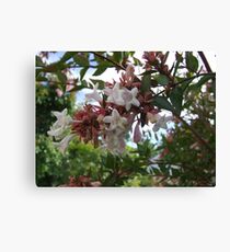 Spring blossoms Canvas Print