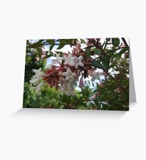 Spring blossoms Greeting Card
