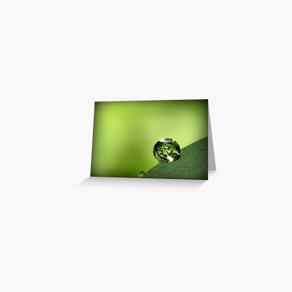 Dewdrop Greeting Card