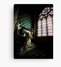 Paris 289 Canvas Print