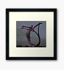 Aria Framed Print