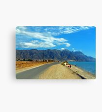 Coastal Walk Canvas Print